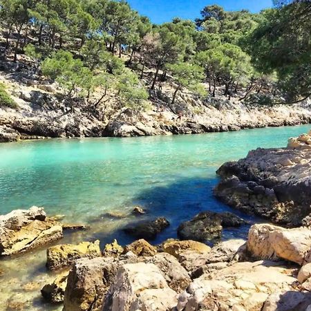 Confort & Calme Au Centre De Marseille Eksteriør billede