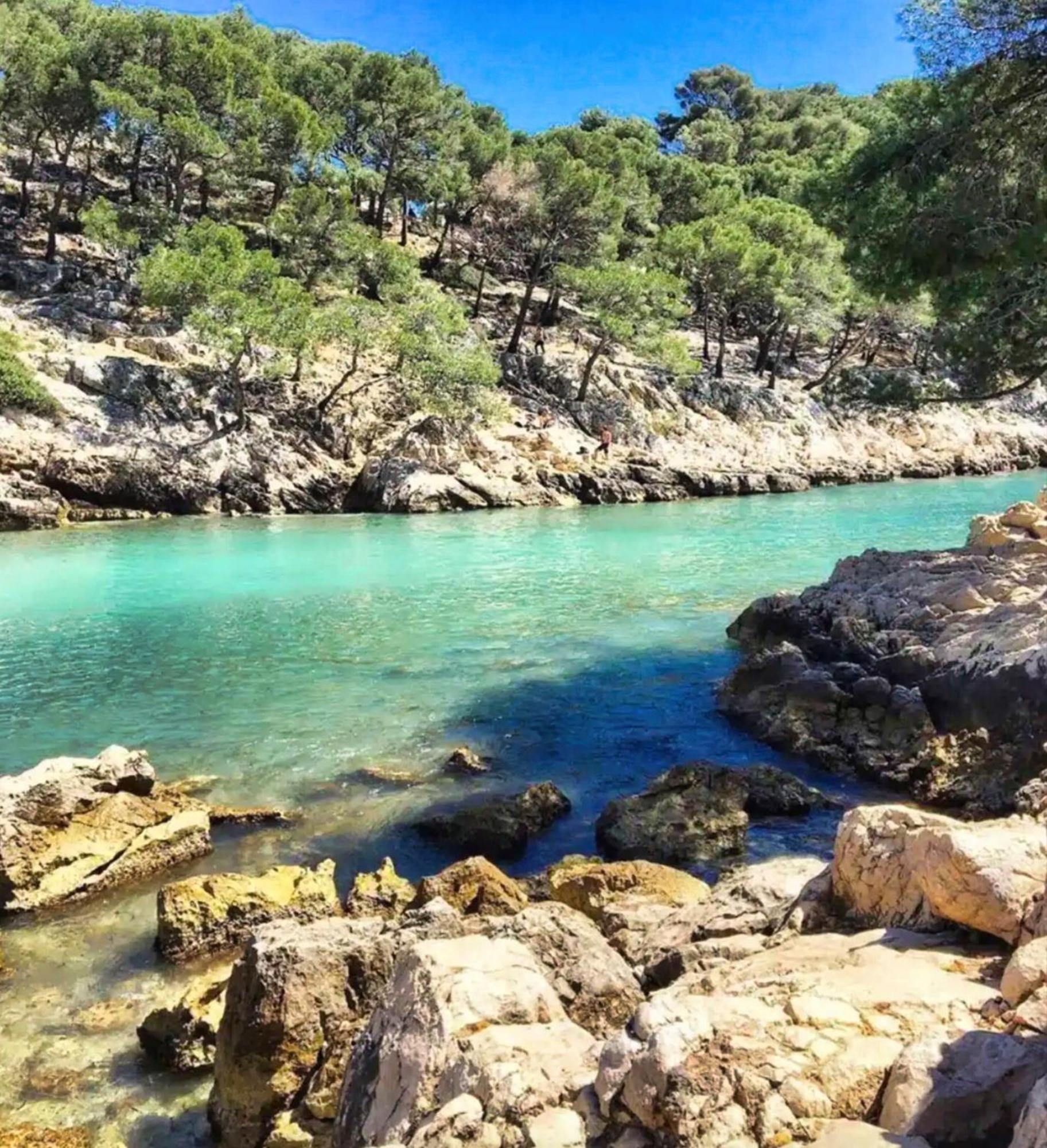 Confort & Calme Au Centre De Marseille Eksteriør billede
